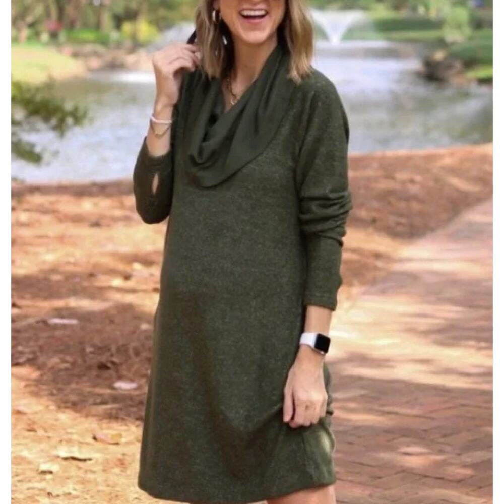Cabi Green Solace Cowl Neck Cinch Back Sweater Dress 4016 Women's Size Medium